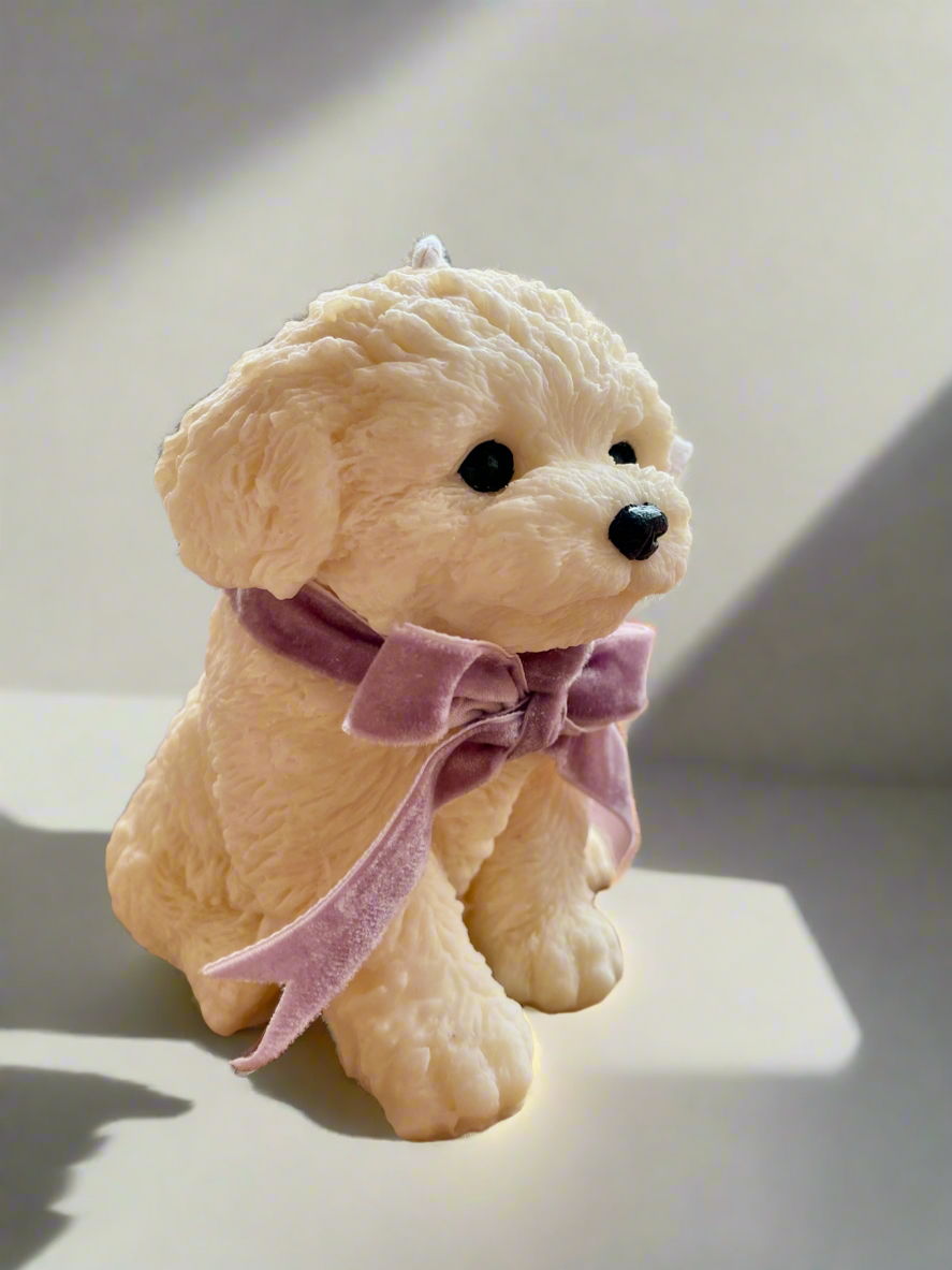 Bichon