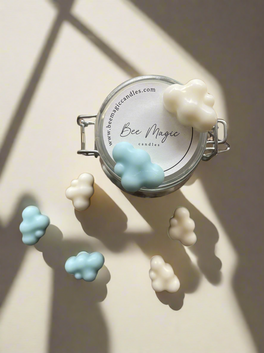 Printre Nori - set wax melts