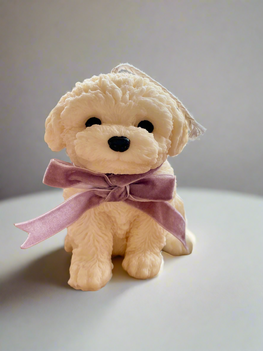 Bichon