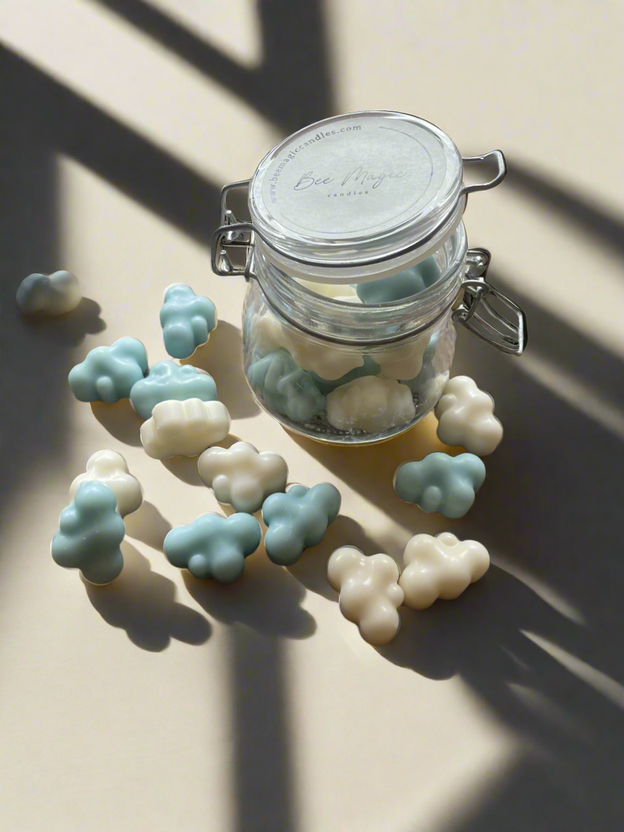 Printre Nori - set wax melts